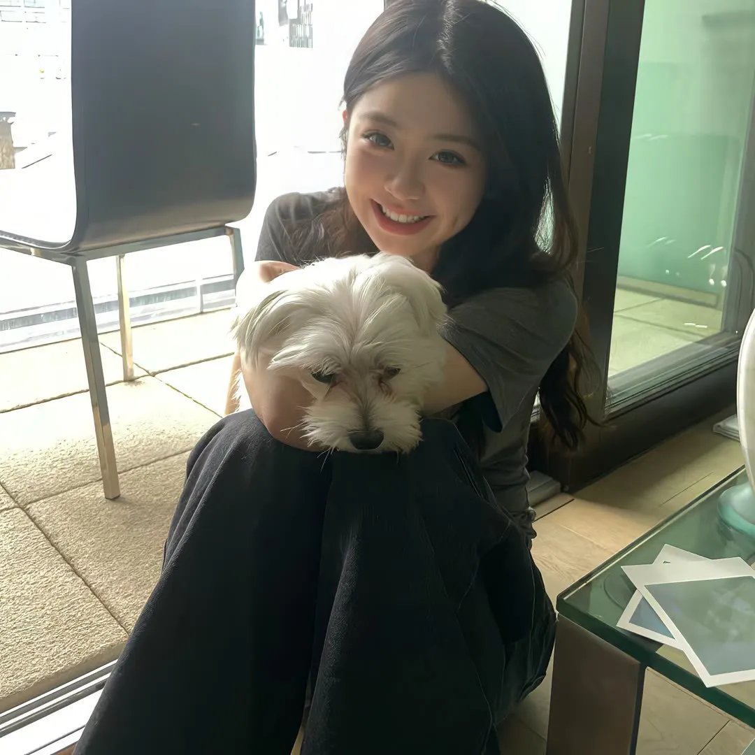 猪仔出更粤语