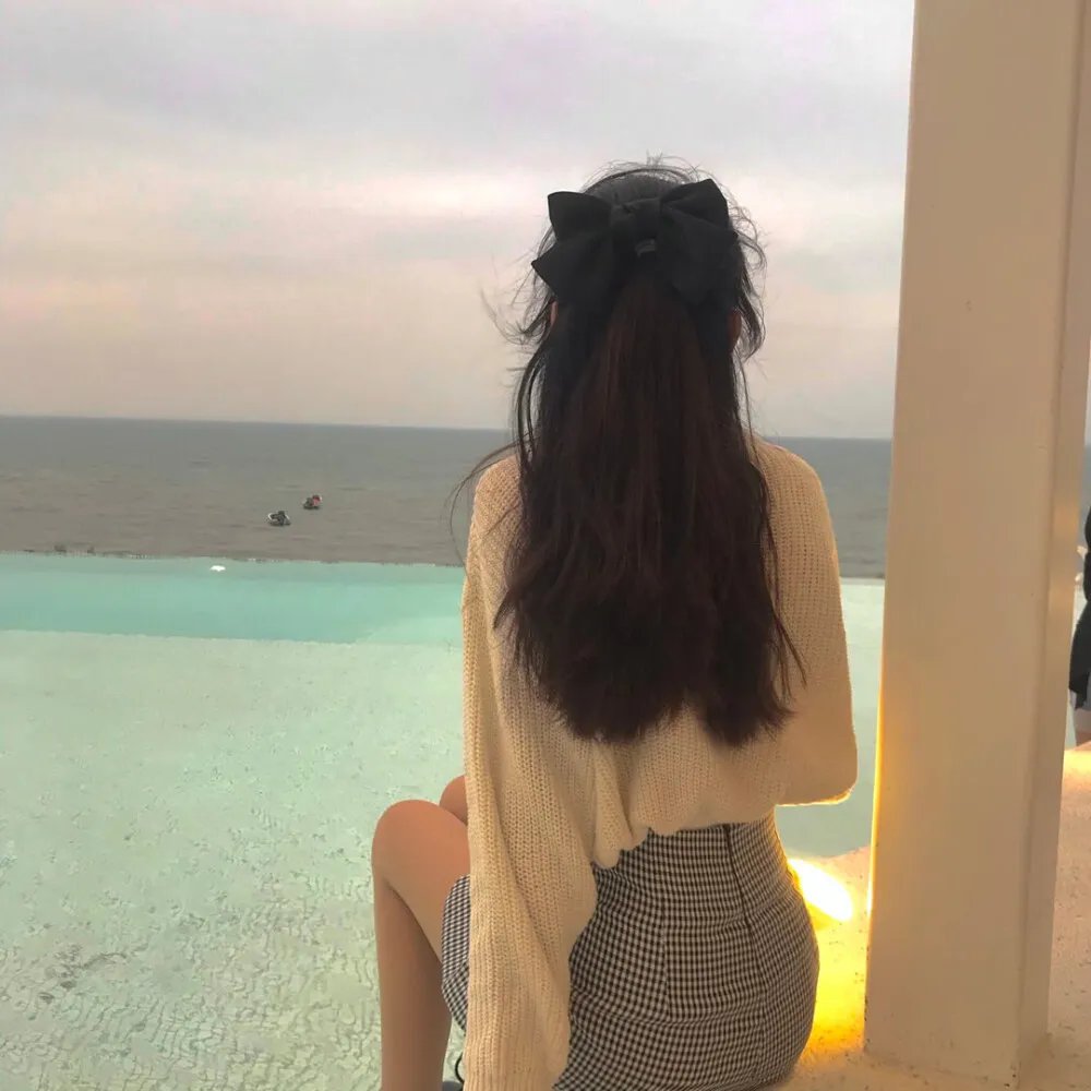 凤舞龙翔